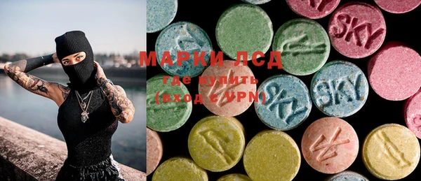 mdpv Медвежьегорск